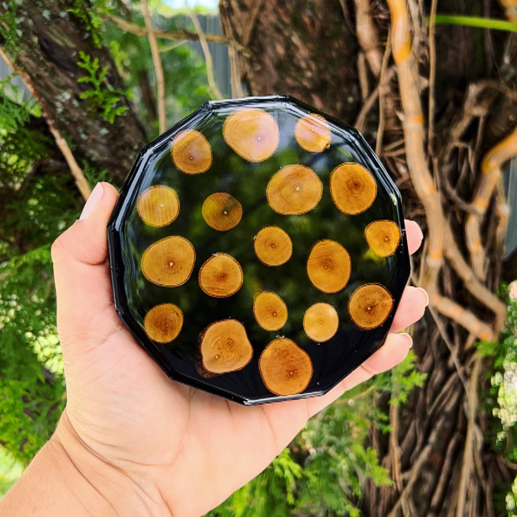 🪵Nature🪵 (set of 4)