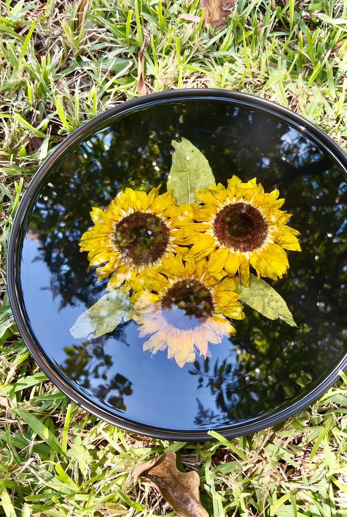 Sunflowers mood