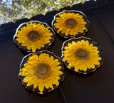 Sunflowers mood