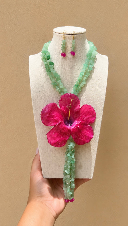 Amapola