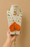 🧡Libélula💚 (set)