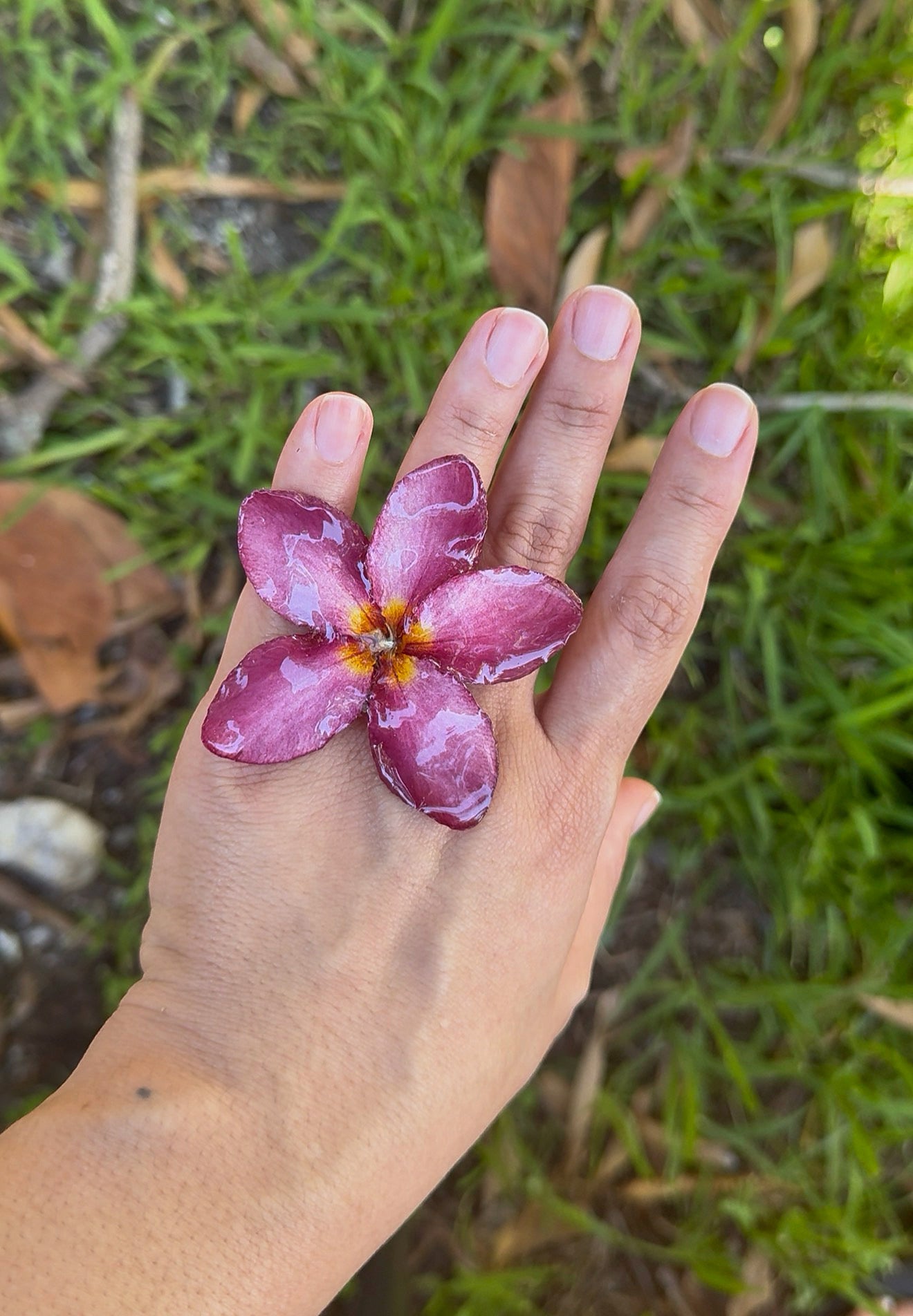 Plumeria
