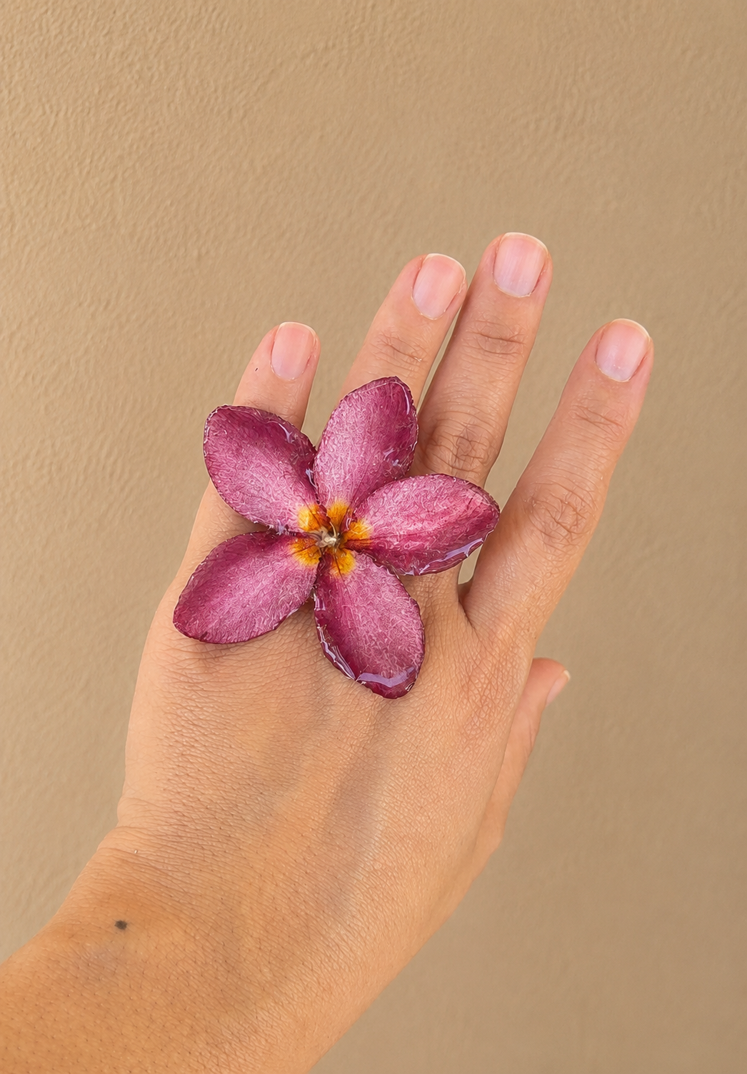 Plumeria